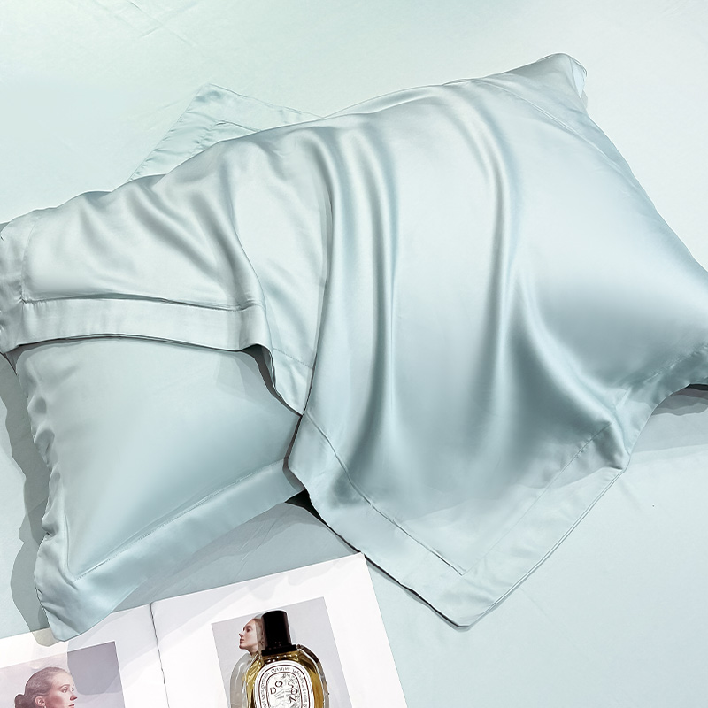 夏季天丝枕套一对装2024新款冰丝枕头套48x74家用真丝枕芯内胆套2