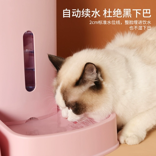 PET автоматически кормить кошачья чаша для кошачья чаша для корма кошачья собачья ланч коробка для собак корм для кошачья еда автономная интеграция