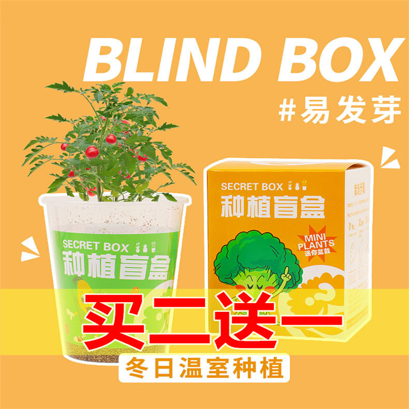 儿童种植小盆栽幼儿园向日葵植物学生观察绿植种子盒diy迷你盲盒 - 图0