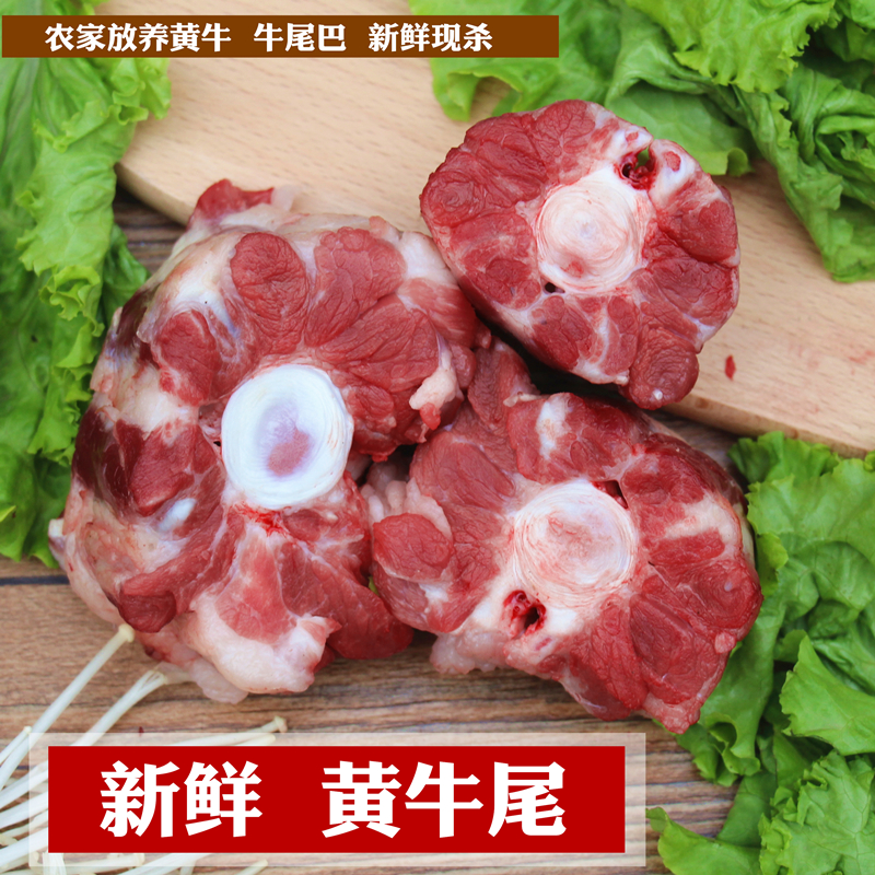 新鲜牛尾黄牛尾500g牛尾巴农家散养黄牛肉整根牛尾骨牛排骨牛蝎子 - 图0