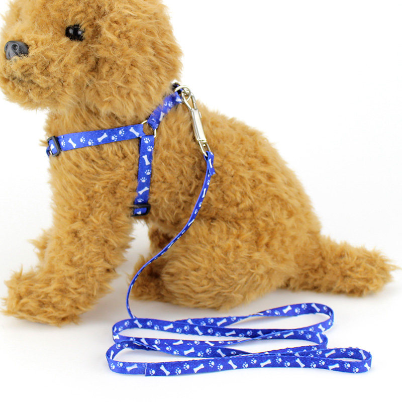 涤纶印花狗狗牵引绳宠物胸背带猫咪牵引带遛狗绳中小型犬项圈用品,淘宝优惠券,粉丝福利购,淘宝优惠卷