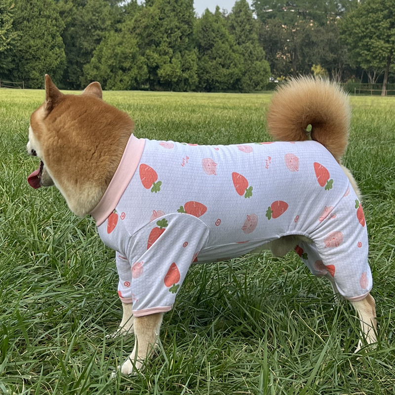 夏季宠物服装狗狗防晒四脚衣打底衫防掉毛中大型犬狗衣服柴犬秋田-图0