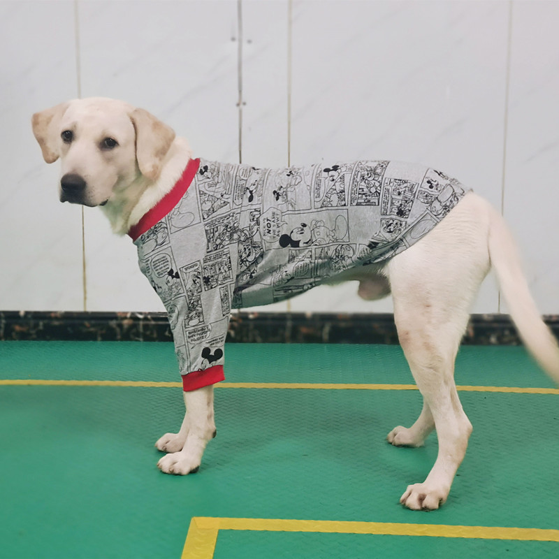 狗狗衣服中大型犬拉布拉多春秋护关节两脚衣金毛萨摩耶边牧卫衣-图1