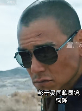 狗阵彭于晏同款墨镜偏光太阳镜
