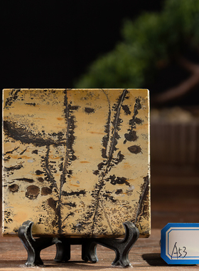 草花石装饰中式客厅书桌茶桌杯垫