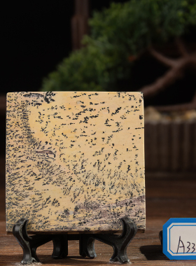 草花石装饰装饰客厅书桌茶桌杯垫