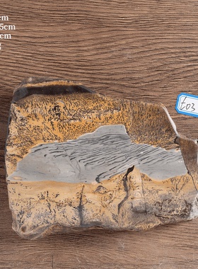 草花石装饰中式客厅茶桌茶盘