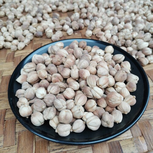白寇  白扣子 白豆蔻 白蔻仁 香料调料大全  烧菜卤肉火锅卤料50g - 图1