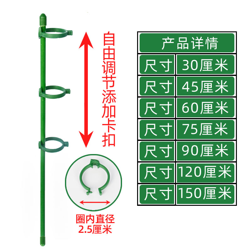 花卉支撑杆支撑花杆花固定支架绿植物支撑杆龟背竹园艺防倒伏花架 - 图2