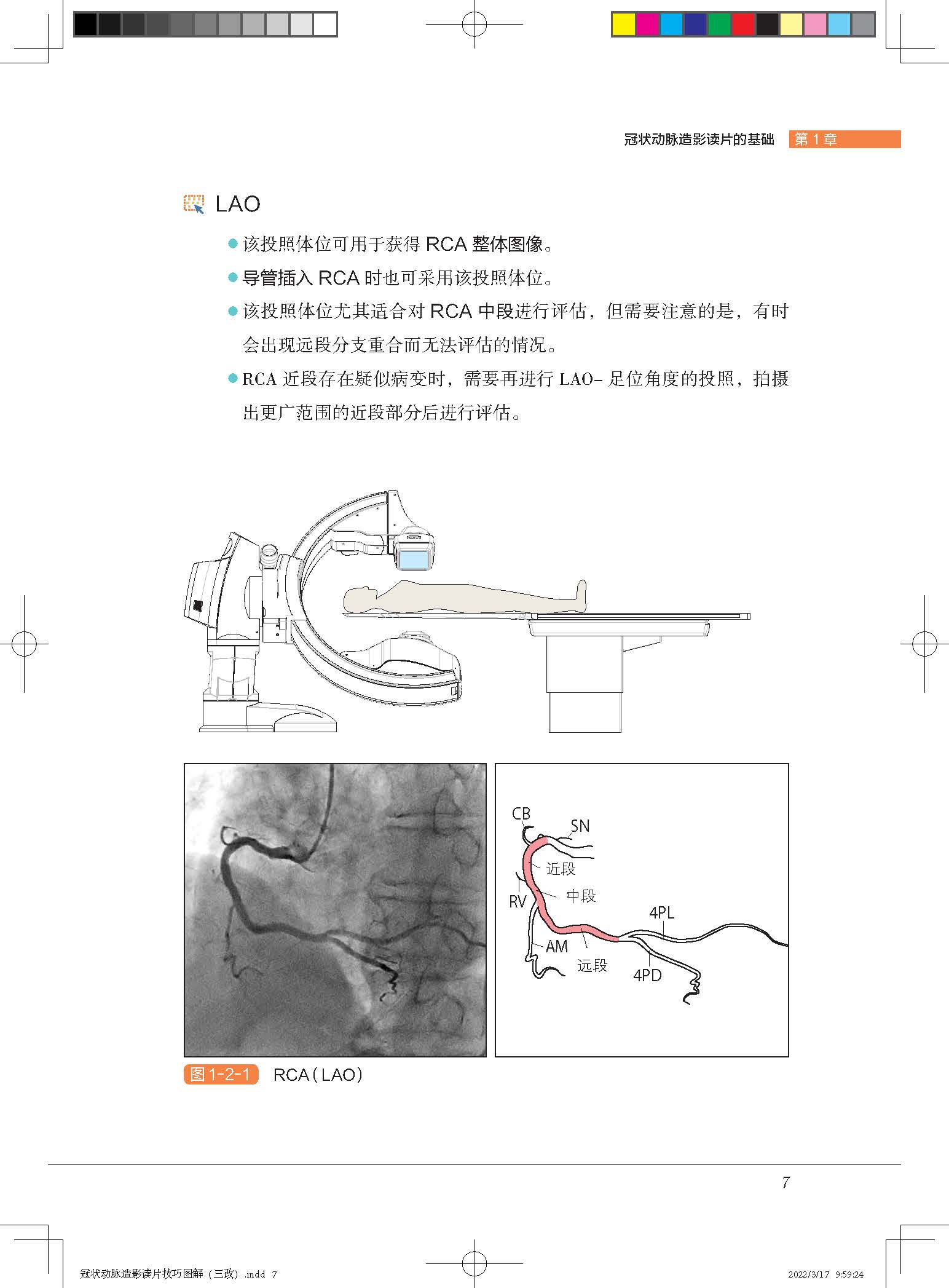 冠状动脉造影读片技巧图解 正常及异常造影 教你从冠脉造影小白 快速进阶PCI达人 日本畅销视频版 扫码免费看视频 北京科学技术 - 图1