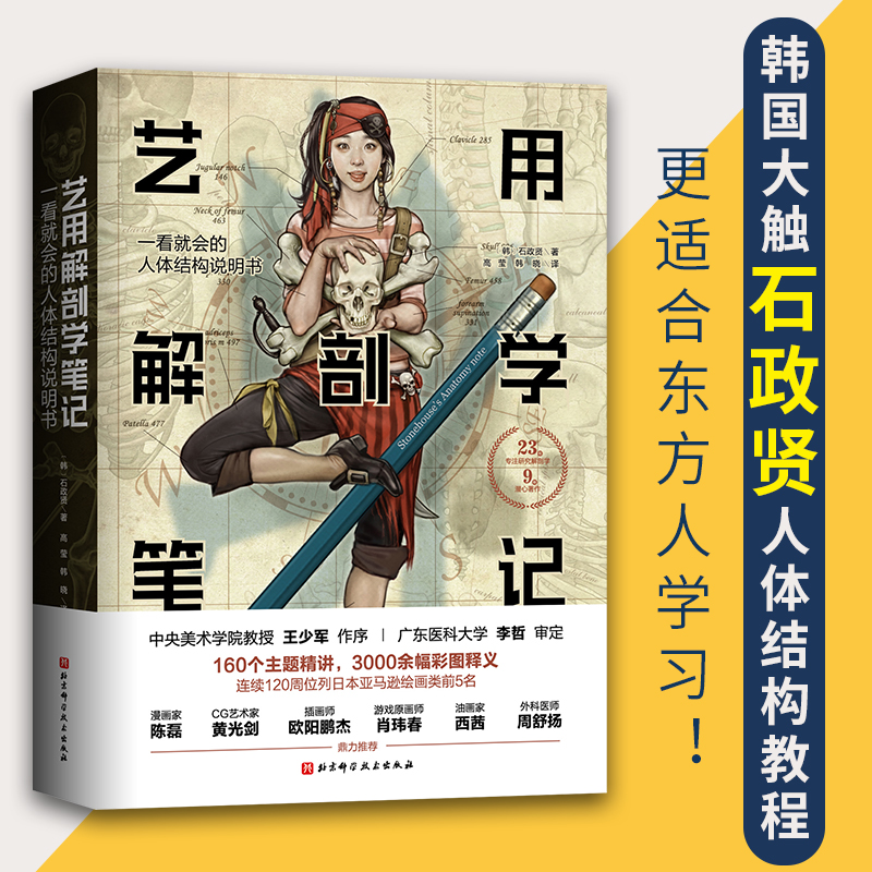 艺用解剖学笔记 韩国大触石政贤 伯里曼的黄金搭档  绘画理论图谱 人体结构素描教程人体肌肉李哲推荐图书 北京科学技术出版社现货 - 图2