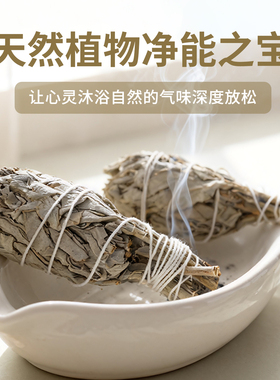 美国加州白鼠尾草净化室内