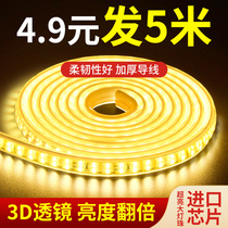 220v lamp with led three-color variational light decoration living-room home suspension-style ceiling ultra bright outdoor waterproof neon self-adhesive light strip