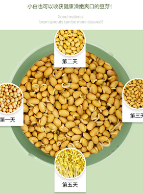 康丽豆芽罐豆芽菜种植桶
