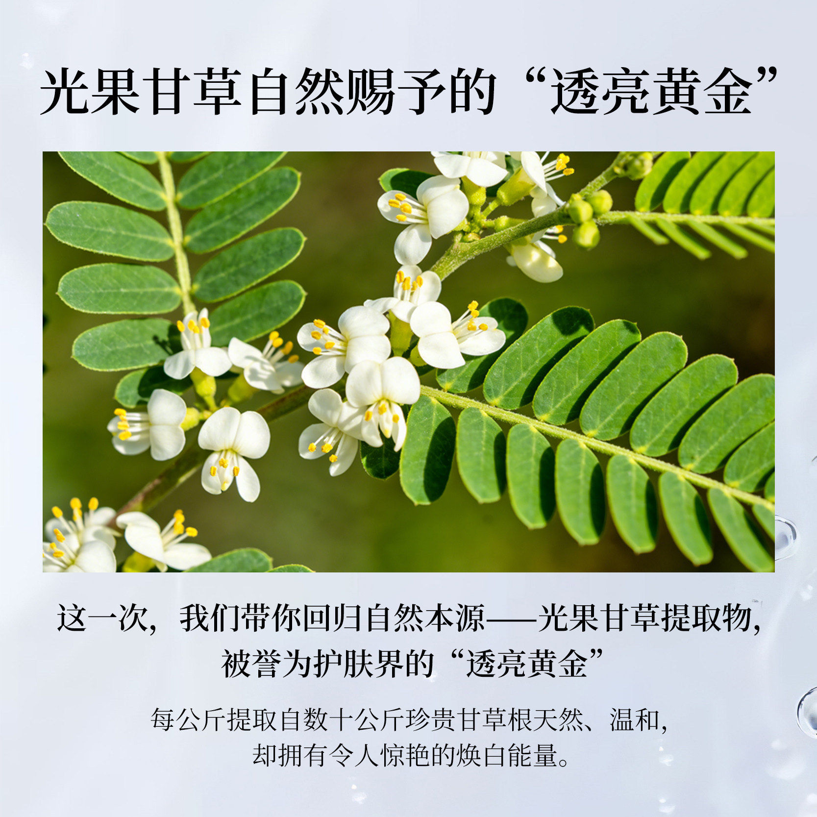 美颈霜女颈部护理按摩淡化颈文神器提拉紧至脖子嫩肤化妆品oem1kg,淘宝优惠券,粉丝福利购,淘宝优惠卷