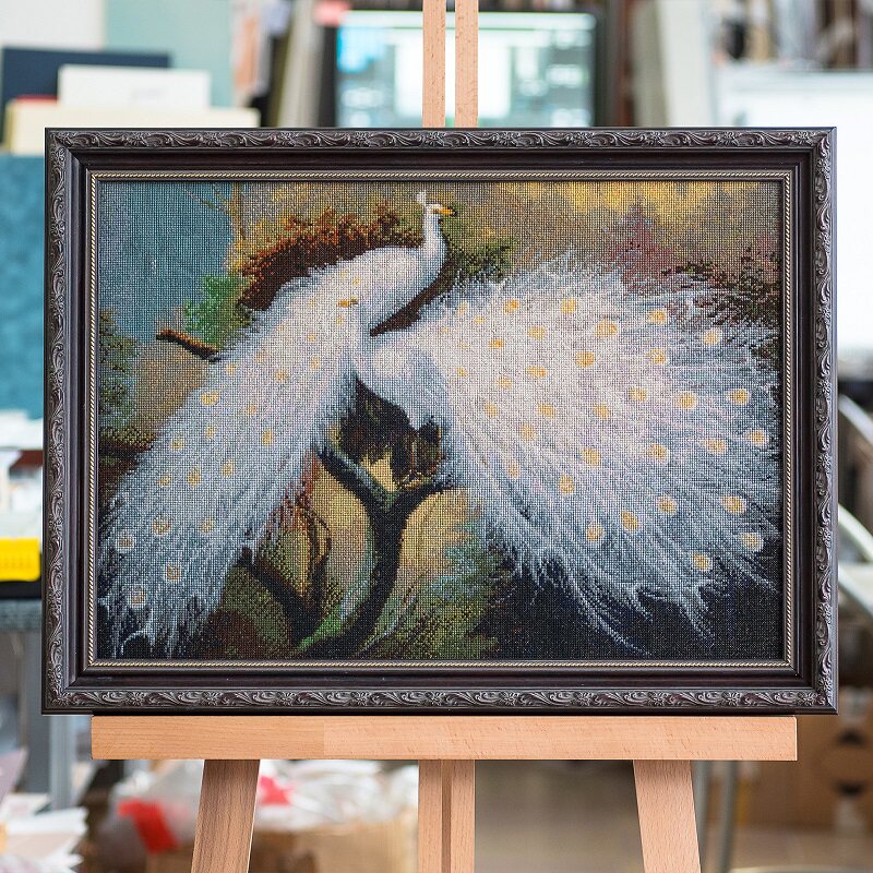 白孔雀 拍賣與ptt推薦商品 21年3月 飛比價格