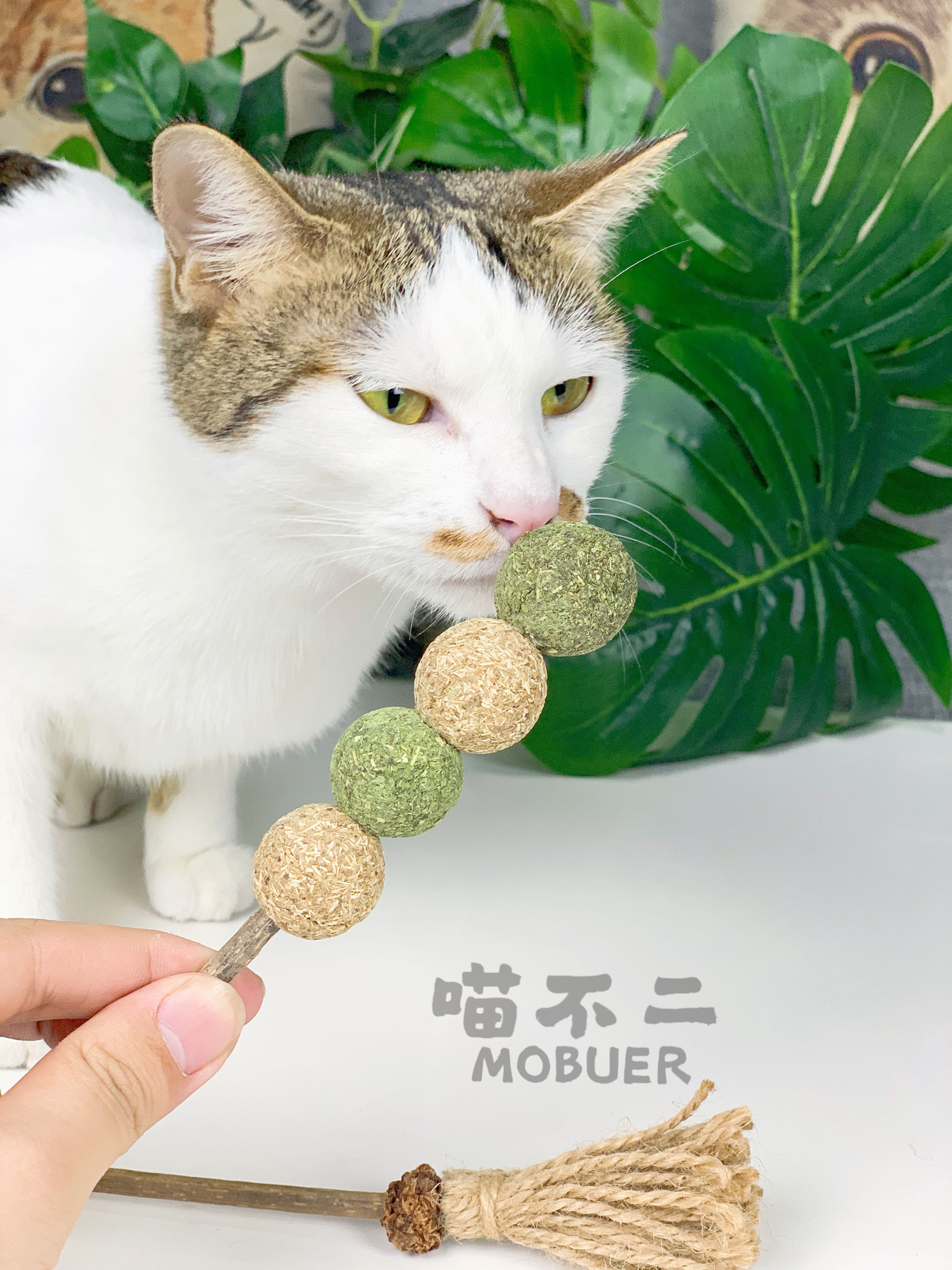 喵不二 pidan木天蓼15款自嗨玩具猫薄荷球猫咪磨牙洁齿棒逗猫玩具 - 图2