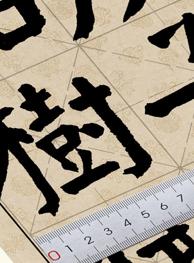 谭延闿 颜体 枯树赋 8cm大字 书法临摹 单字练习帖 A4卡纸24页