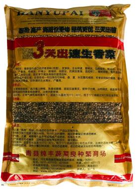 意大利进口 3天出速生大叶香菜种子耐热高产春秋四季蔬菜芫荽籽孑