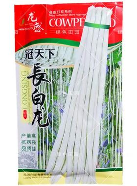 长白龙豇豆种子农家菜园基地春夏秋四季播白玉雪优美豆角蔬菜籽孑