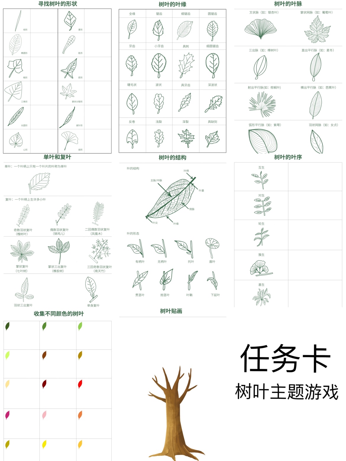 亲子深度自然游戏｜树叶主题游戏任务卡（电子版）无实物发货 - 图3