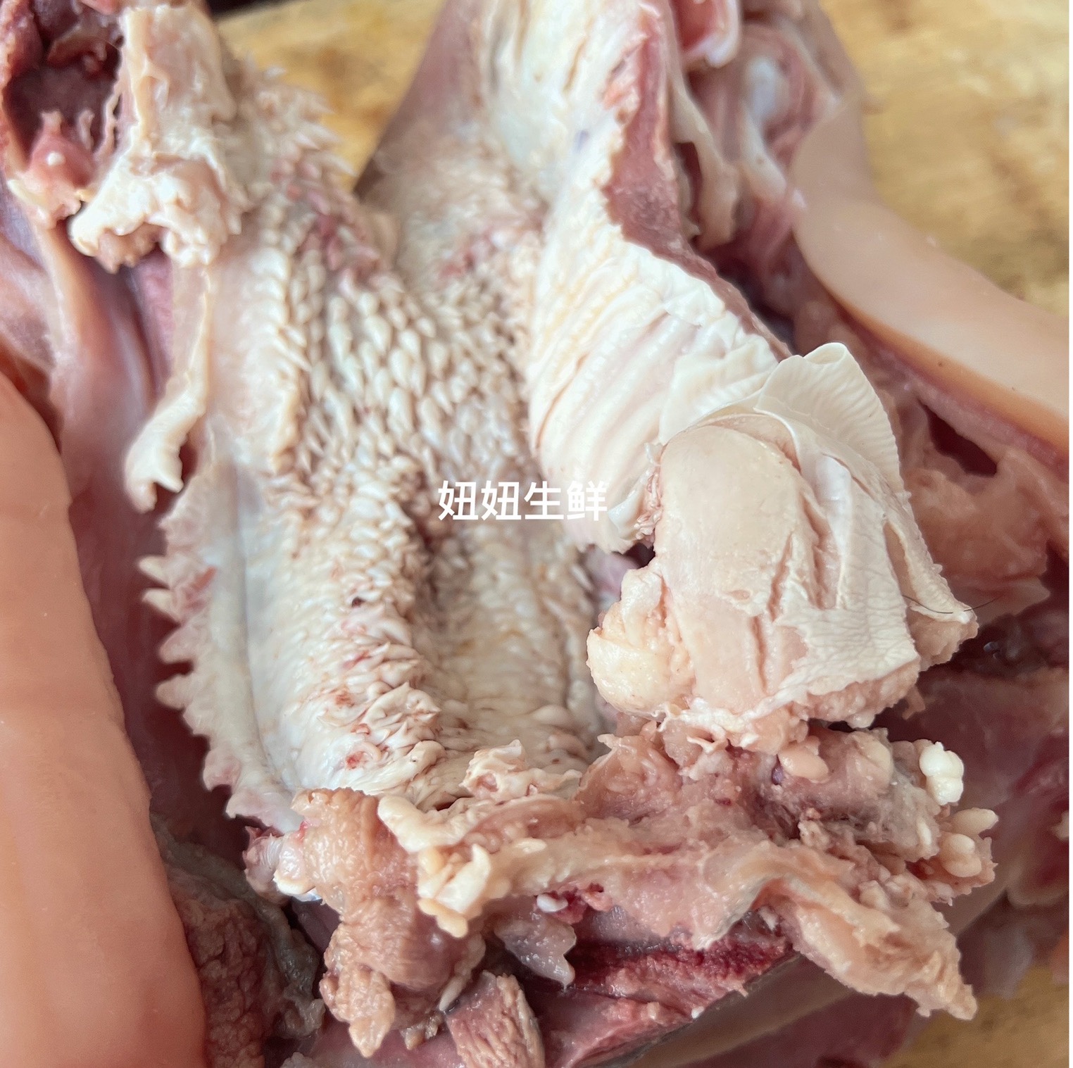 新鲜全熟黄牛头肉 原味牛脸肉 带肉带皮整只牛脸熟牛杂500g - 图2