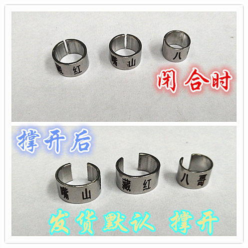 八哥红嘴山鸦鹩哥鹦鹉白颈乌鸦文字定制不锈钢彩色开口鸟脚环定做 - 图2