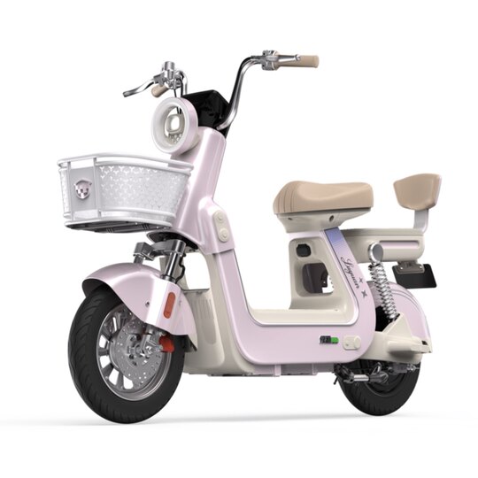 Новый национальный стандарт Luyuan X30 с электровелосипедом дальнего действия