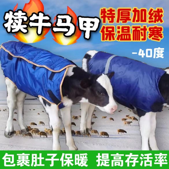 加厚防水加大犊牛马甲保暖外套防风牛犊衣服小牛防寒外套小牛器械-图2