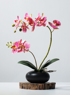 绢花客厅蝴蝶兰花卉+花瓶