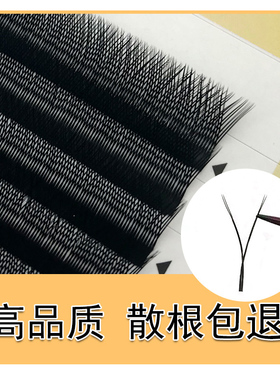 12大排Y型B翘嫁接睫毛不散根