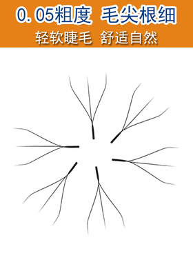 3叶草睫毛嫁接不散根