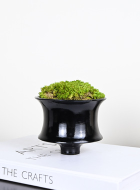 现代新中式家居中古侘寂风永生绿植苔藓杯茶几桌面装饰摆件样板间