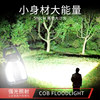 Wolsen multifunctional outdoor mini lamp camping ultra small