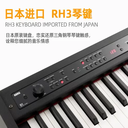 Korg Keyin Electric Piano D1 Экзамен для начинающих.