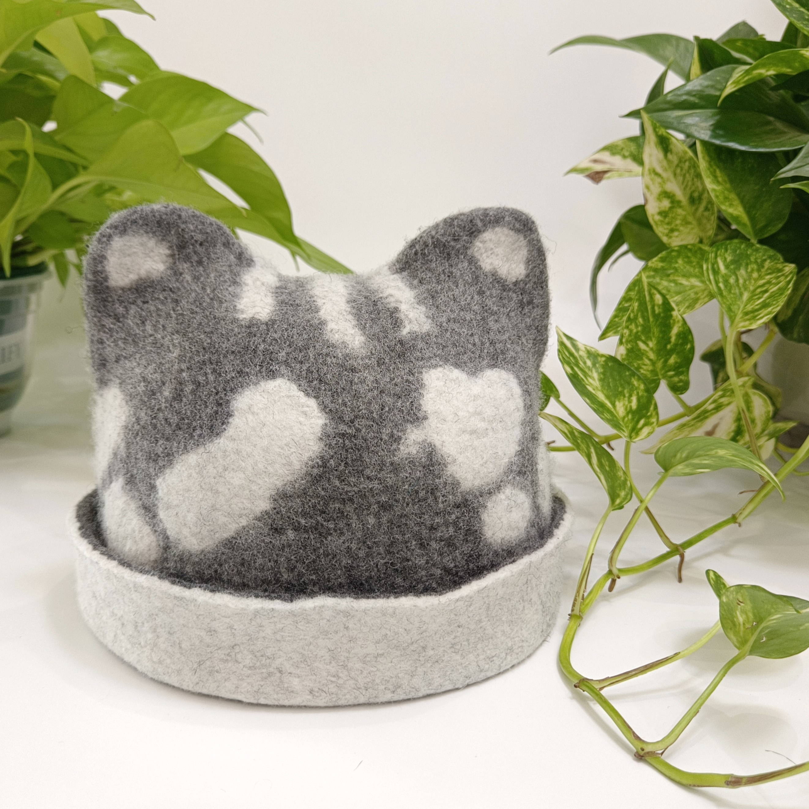 南瓜岛羊毛毡小猫帽子湿毡材料包手工DIY生日礼物儿童摄影,淘宝优惠券,粉丝福利购,淘宝优惠卷