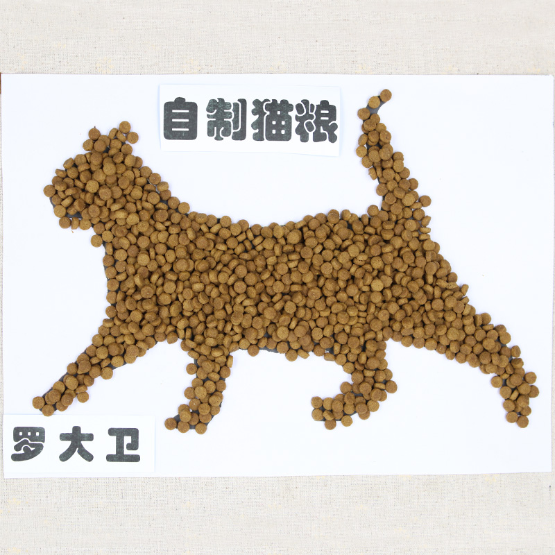 狗教授自制天然幼猫成猫老年猫鱼饭主粮全猫粮美短英短5斤包邮优惠券