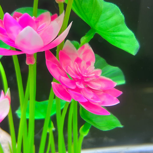 新款鱼缸造景荷花装饰仿真水草植物塑料水族箱布景摆件睡莲花内饰 - 图1