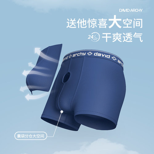 David Archy枪弹分离男内裤莫代尔冰丝透气两室一厅 - 图0
