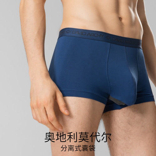 David Archy枪弹分离男内裤莫代尔冰丝透气两室一厅 - 图2