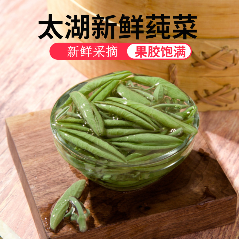 莼菜320克袋装苏州太湖新鲜纯菜包邮PK现采非西湖马蹄菜食用野菜 - 图0