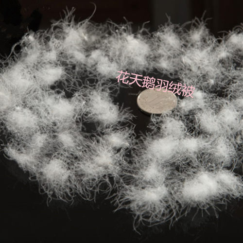 散装进口羽绒优质98%大朵白鹅绒吊绒冬季羽绒服羽绒被填充物包邮 - 图2