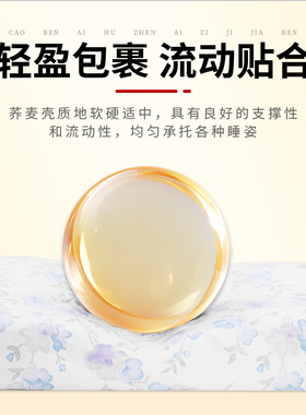 多味草本添加荞麦艾绒枕
