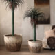 Large diameter wabi-sabi flower pots and flower vessels for Chinese gardens
