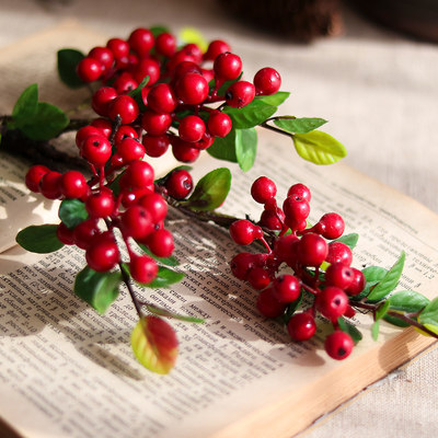 原介 仿真浆果小红果蔓越莓蓝莓假花果子果实桌面插花装饰摆件 虎窝淘