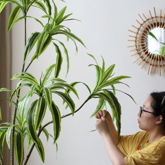 Simulated Brazilian wood floor-standing large green plant movable decoration