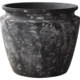 Courtyard balcony tree pot bird of paradise extra large retro