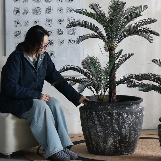 Courtyard balcony tree pot bird of paradise extra large retro