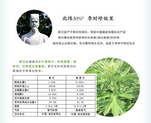 良心艾灸-1号艾灸茶一号艾叶茶蕲艾草茶叶备孕妇婴儿童茶10克一份 - 图0