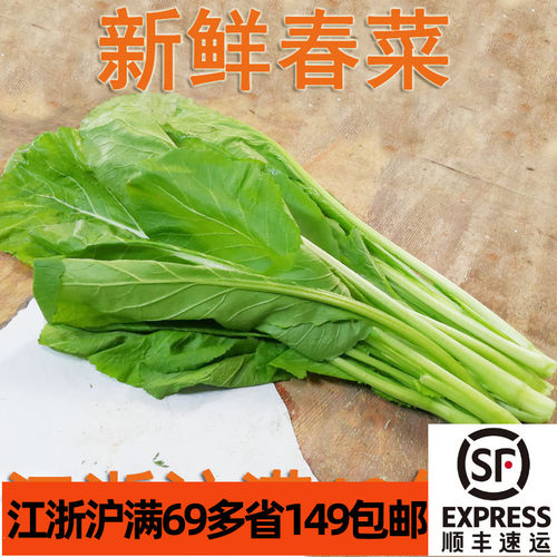 新鲜春菜500g小芥菜广东菜微苦青菜蔬菜上海发货江浙沪隔天到-图0